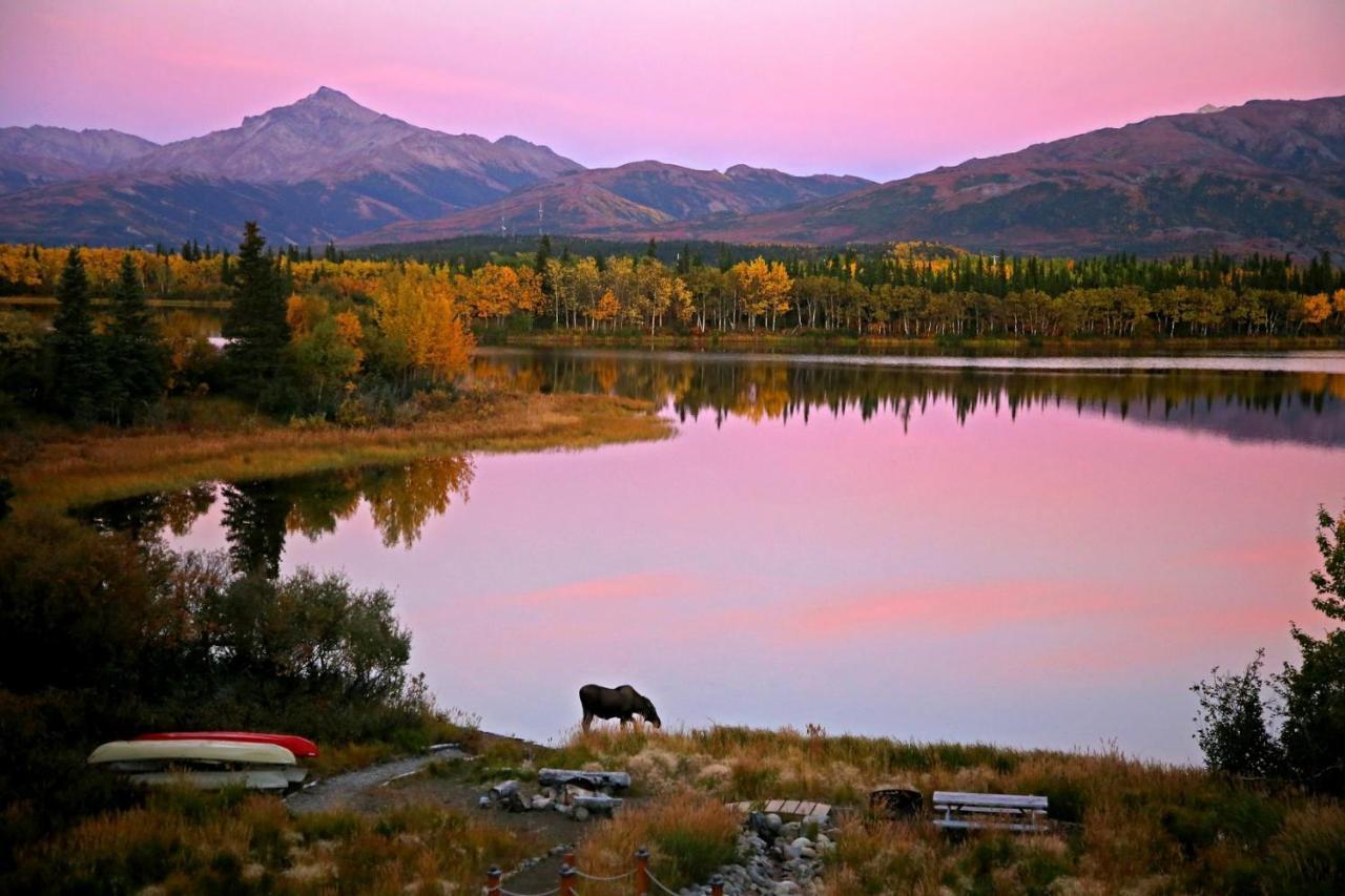 Denali Lakeview Inn Healy Zewnętrze zdjęcie